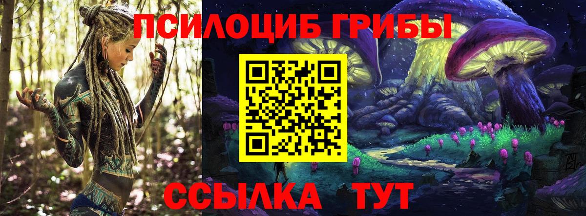 Галлюциногенные грибы мицелий Грозный